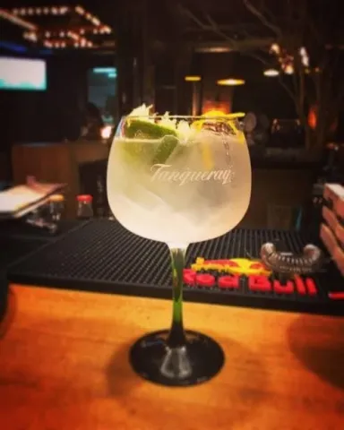 GIN TÔNICA do Saiko Zushi